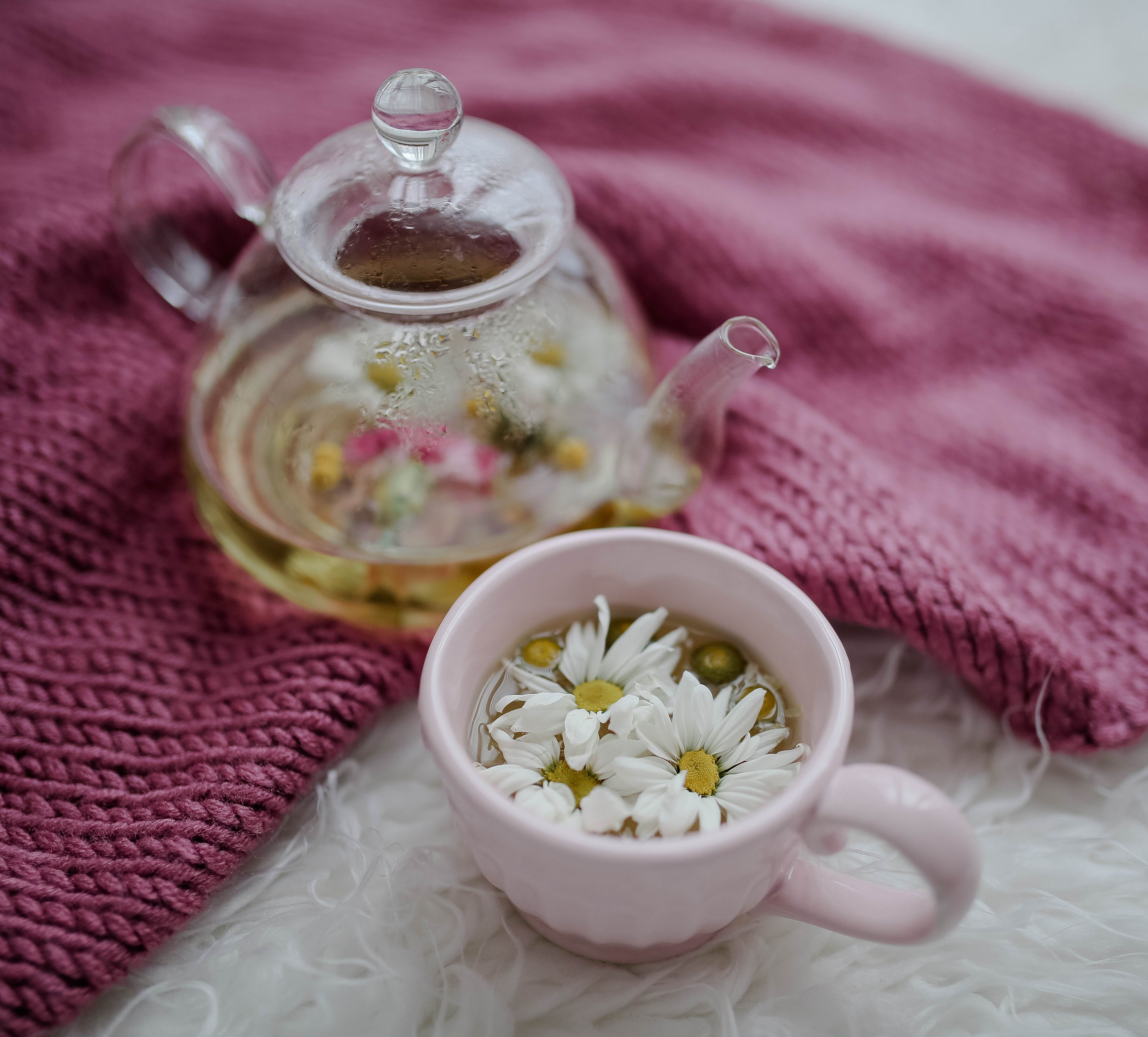 A warm and cozy floral tea setting with a pink cup and glass teapot on a knitted blanket.