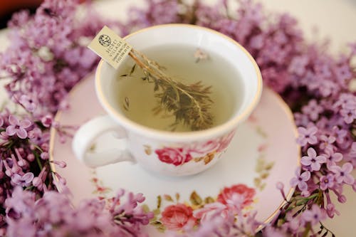 Základová fotografie zdarma na téma bylinkový čaj, detail, horký nápoj