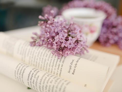 Pink Flowers on Book Page