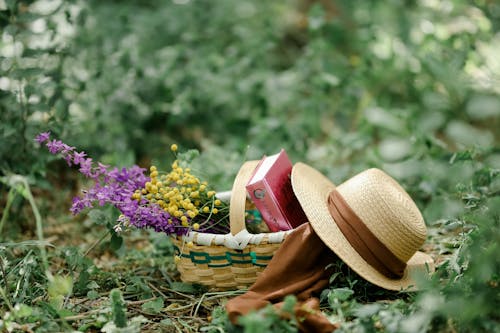 Brown Woven Basket with Yellow and Purple Flowers on Green Grass Field