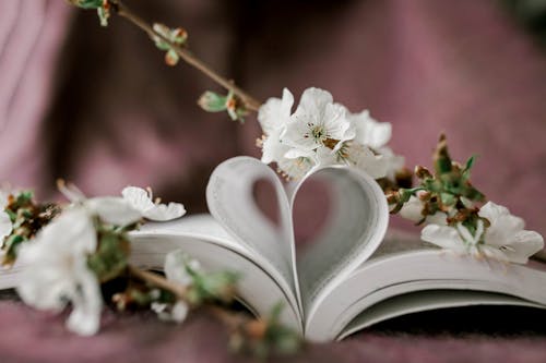 White Flowers on Book with Heart Shaped Book Pages