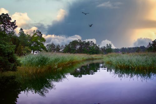 Gratis lagerfoto af bådtur