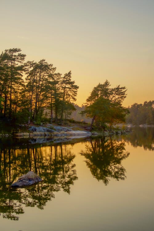 Foto profissional grátis de árvores, corpo d'água, lago