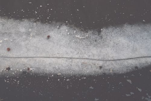 Frost on Car Hood