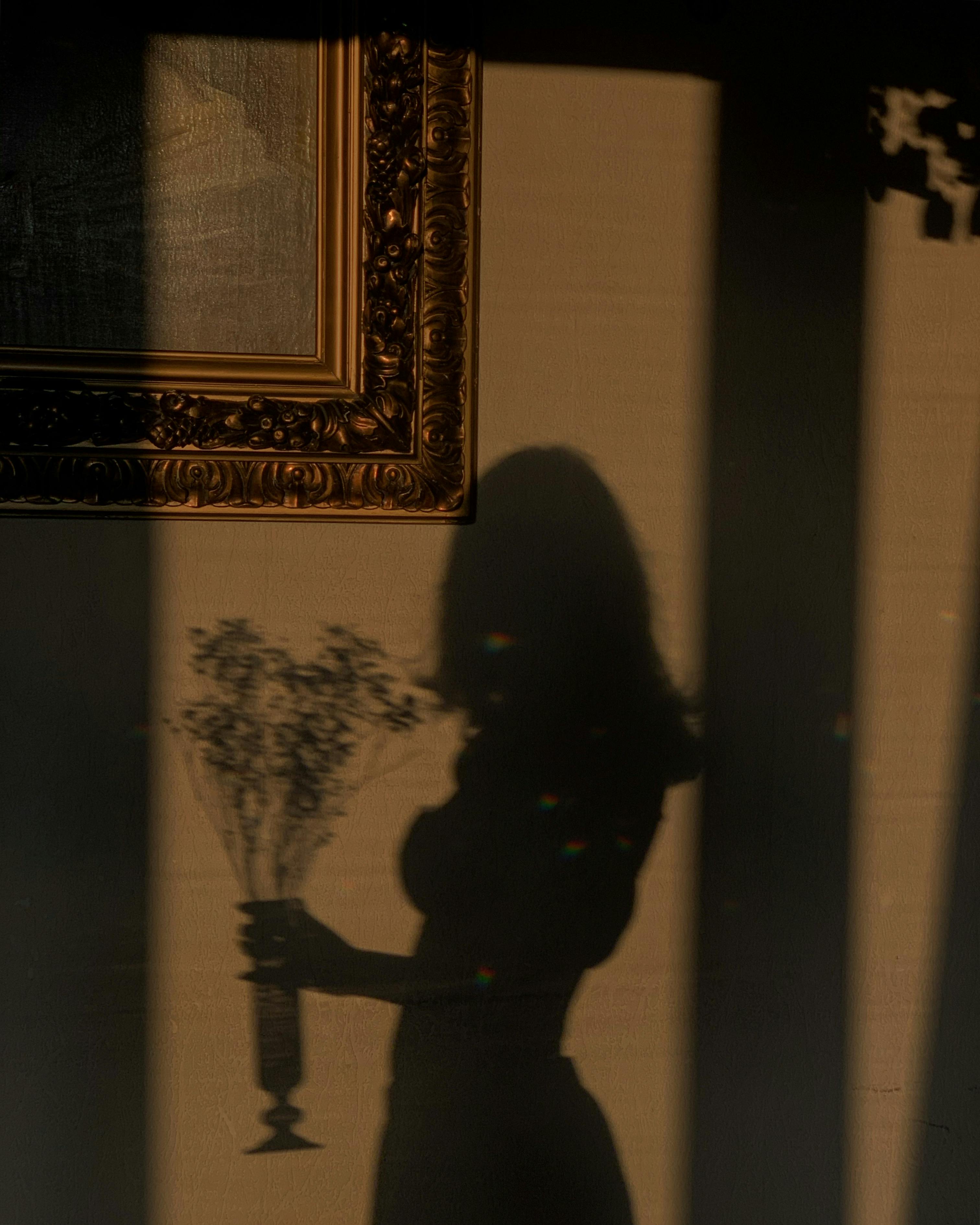 Silhouette of a woman holding a vase casting a shadow on a wall in Tbilisi, Georgia, creating a dramatic visual effect.