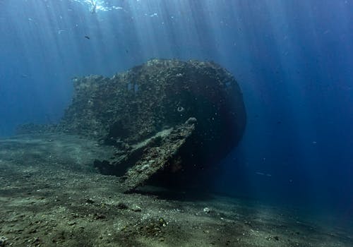 Δωρεάν στοκ φωτογραφιών με αντανακλάσεις φωτός, βαθύς, βιότοπος