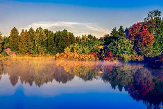 Serene forest and lake landscape with autumn colors reflecting on calm water.