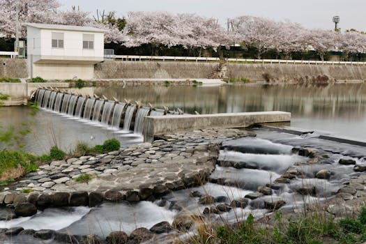 Beautiful river waterfall surrounded by cherry blossoms in spring, creating a serene natural scene.