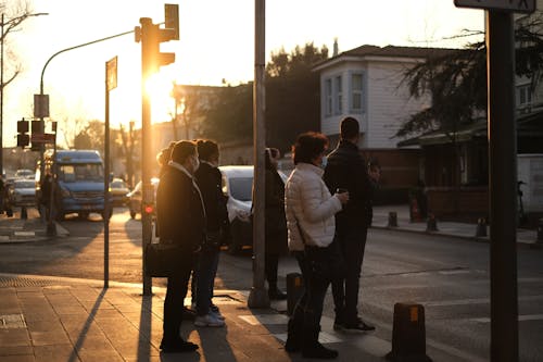 People standing near crosswalk in city