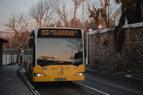 Základová fotografie zdarma na téma asfaltová silnice, bezlisté stromy, čelní sklo