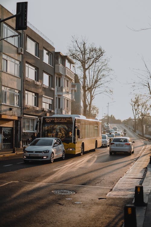 Bus with cars riding along building