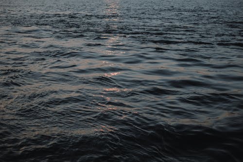 Бесплатное стоковое фото с вода, волны, море