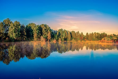 Kostenloses Stock Foto zu bäume, blauer himmel, dämmerung