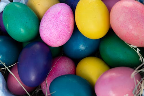 Free stock photo of color eggs, colorful, easter
