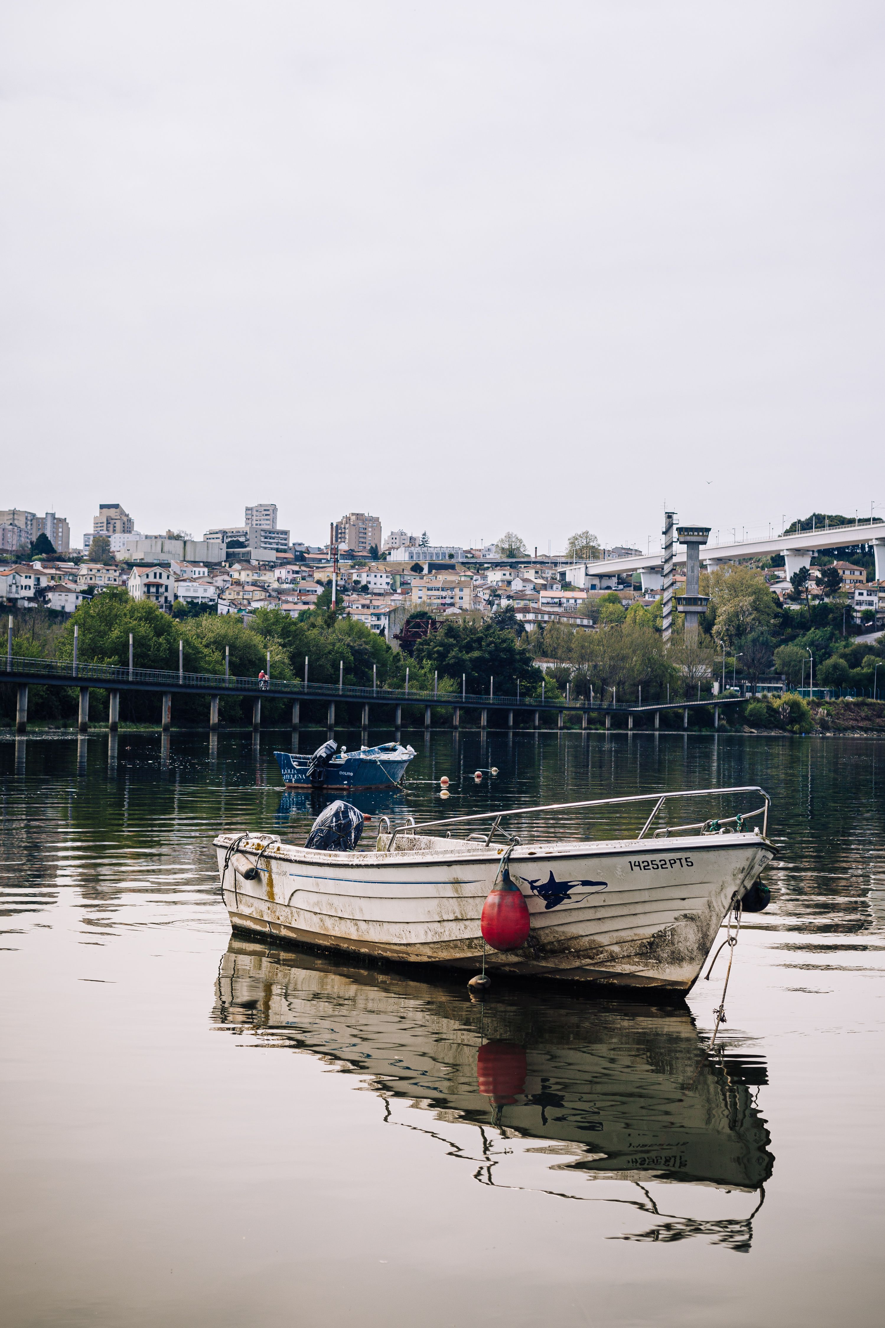 White and Black Boat on Body of Water · Free Stock Photo