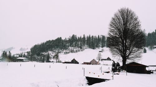 Free A picturesque winter scene of a snow-covered village surrounded by trees and hills. Stock Photo