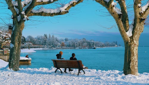下雪的, 冬季, 坐 的 免費圖庫相片