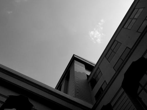 Grayscale Photo of Concrete Building with Glass Windows