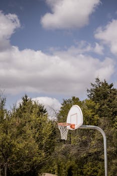 Basketball backboard with hoop on metal post among trees covered with foliage in park