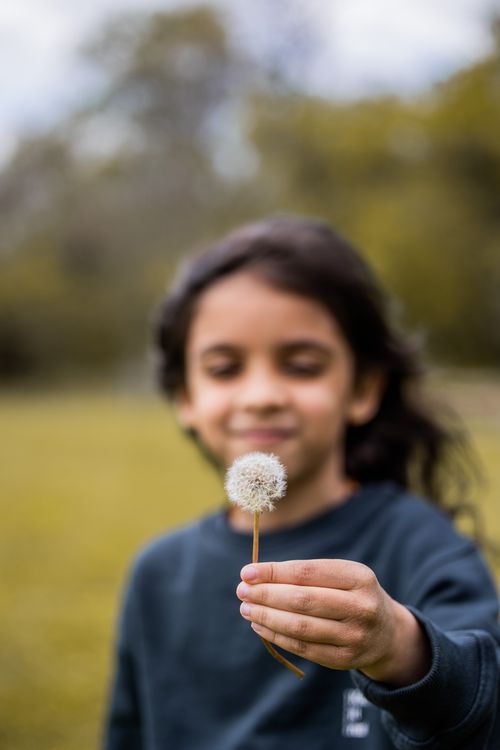 Free Positive girl with long hair demonstrating fluffy dandelion on glade in park among plants Stock Photo