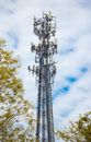 From below of cellular base station with electronic devices and antennas between trees in daytime