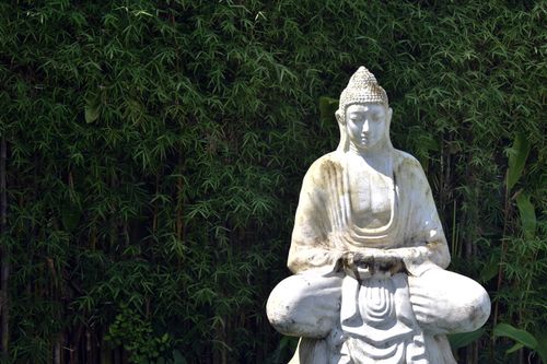 Free Tranquil Buddha statue surrounded by lush green bamboo, symbolizing peace and spirituality. Stock Photo