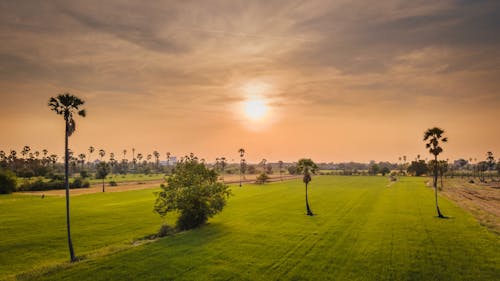 Free Green Grass Field during Sunset Stock Photo