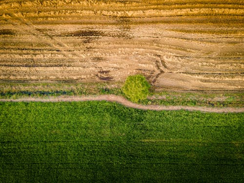 Free Aerial View of a Crop Land Stock Photo