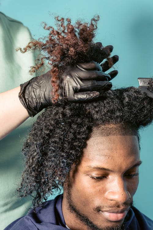 Hairdresser styling hair of black male client in studio