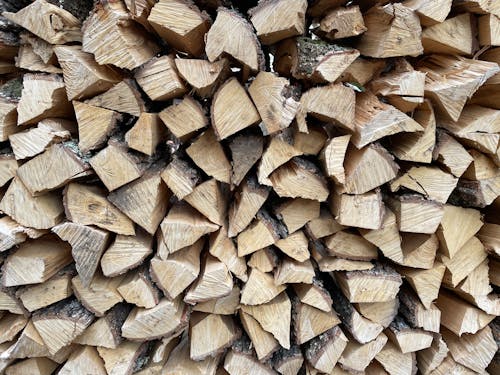 Free A Pile of Chopped Woods Stock Photo