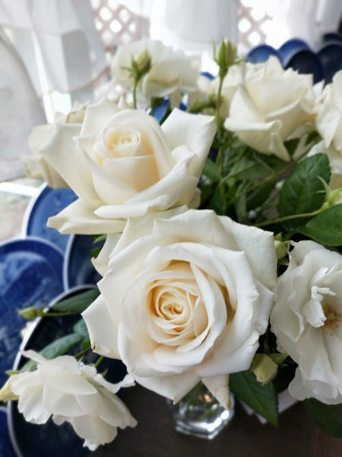 Free White Roses in Clear Glass Vase Stock Photo
