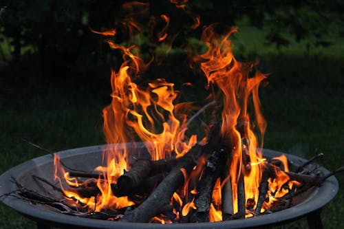 Free Burning Woods in a Fire Pit Stock Photo