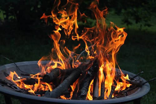Kostnadsfri bild av bål, brand