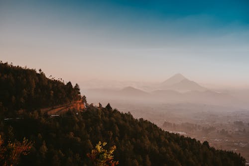 Green Trees on Mountain Under Blue Sky