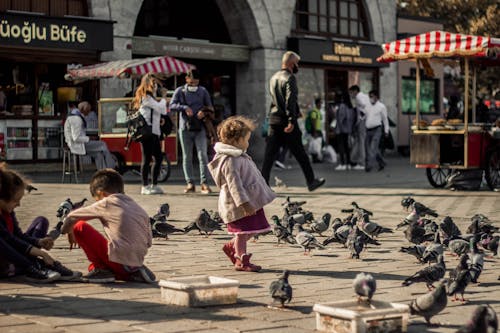 Free Photo of a Child Standing Near Gray Pigeons Stock Photo