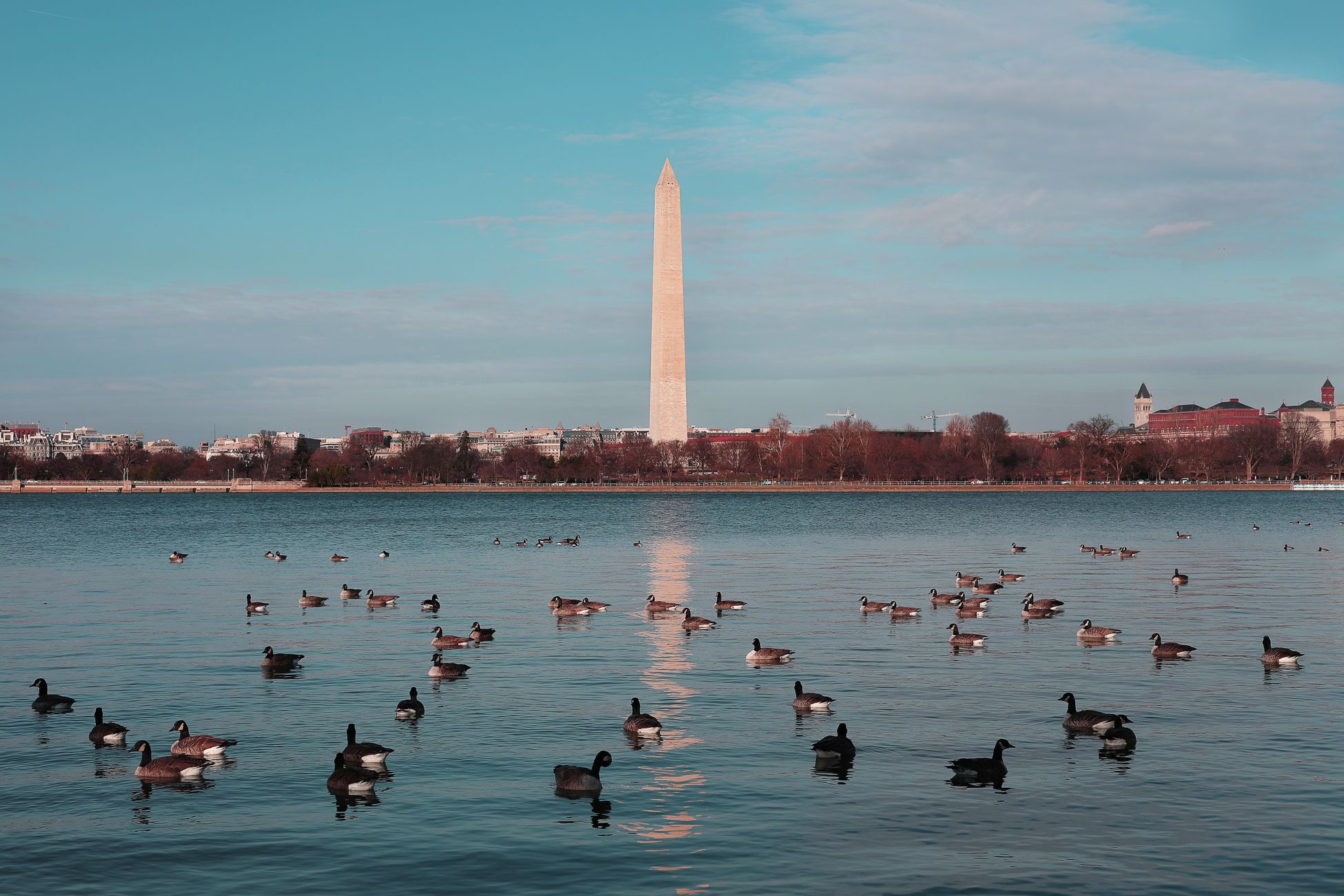 Invloed vastgoedmagnaat-president op Washington
