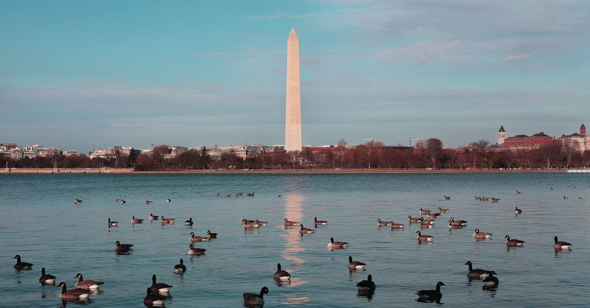 Quelle est la capitale des États-Unis ? Washington, pas New York