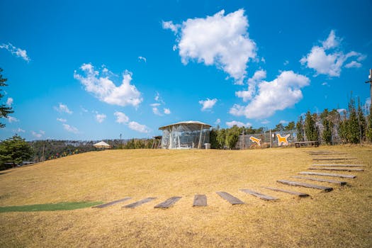 A scenic view of a sunny park with blue sky and wooden path in Gyeonggi-do, perfect for outdoor activities.