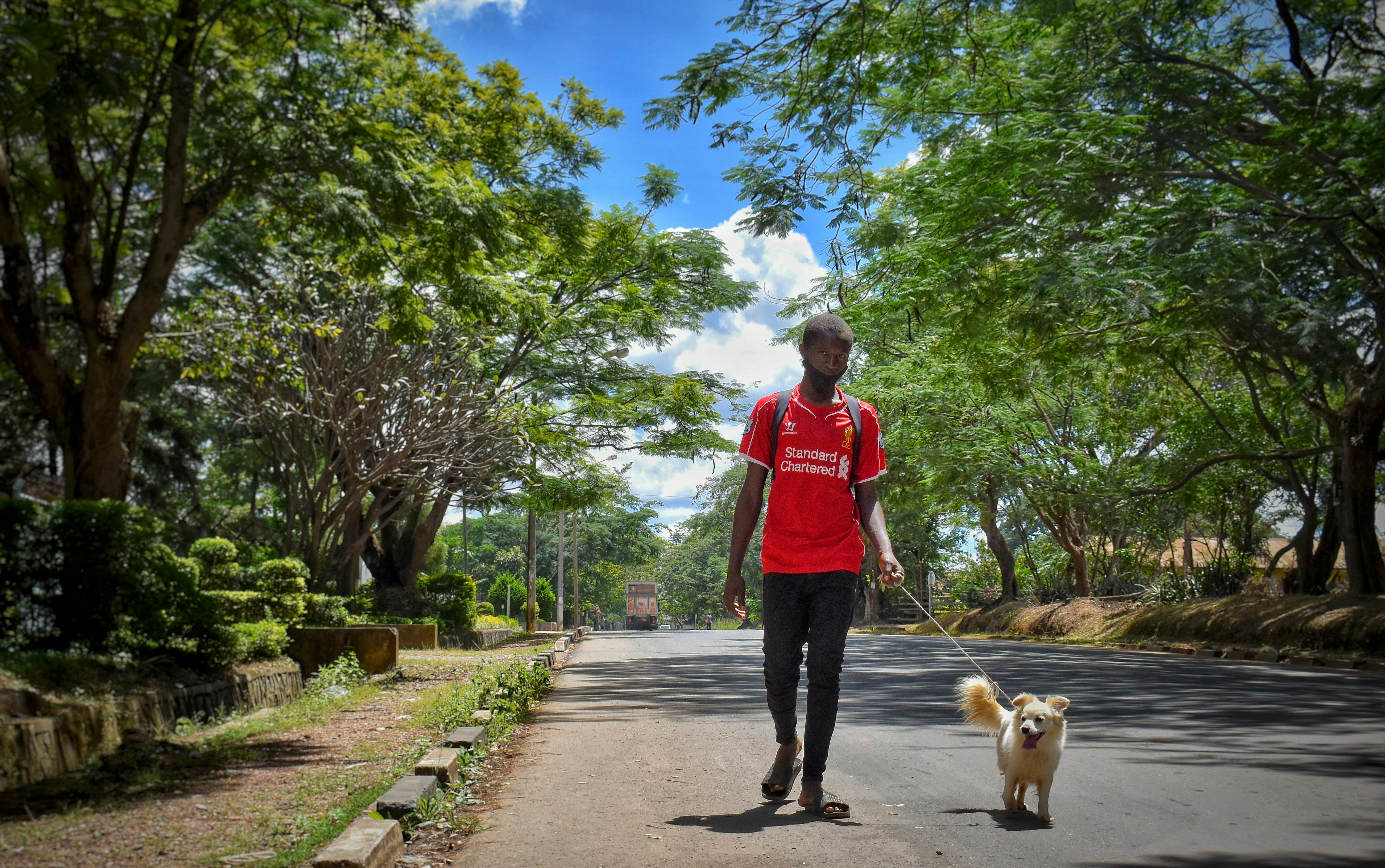 A Man Walking His Pet Dog