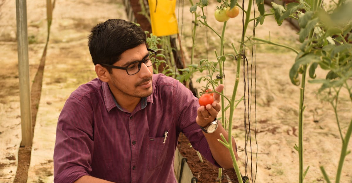 生活:台灣有機農產銷日大幅成長 企業攜手合作共創未來