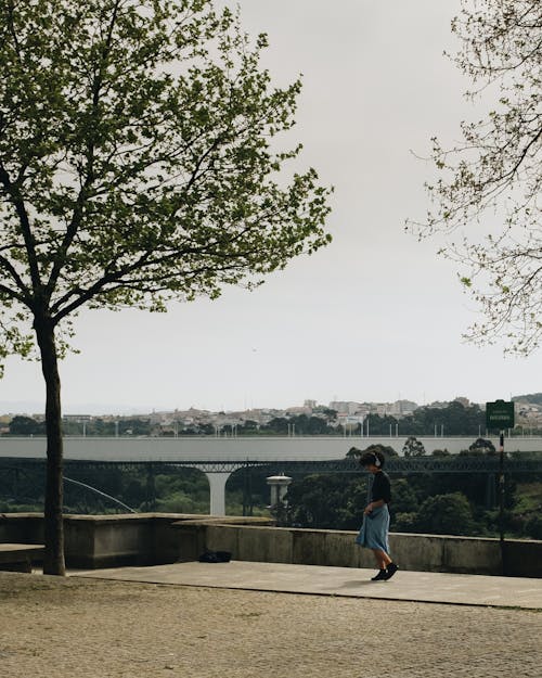Person on a Terrace Overlooking a Bridge in City 