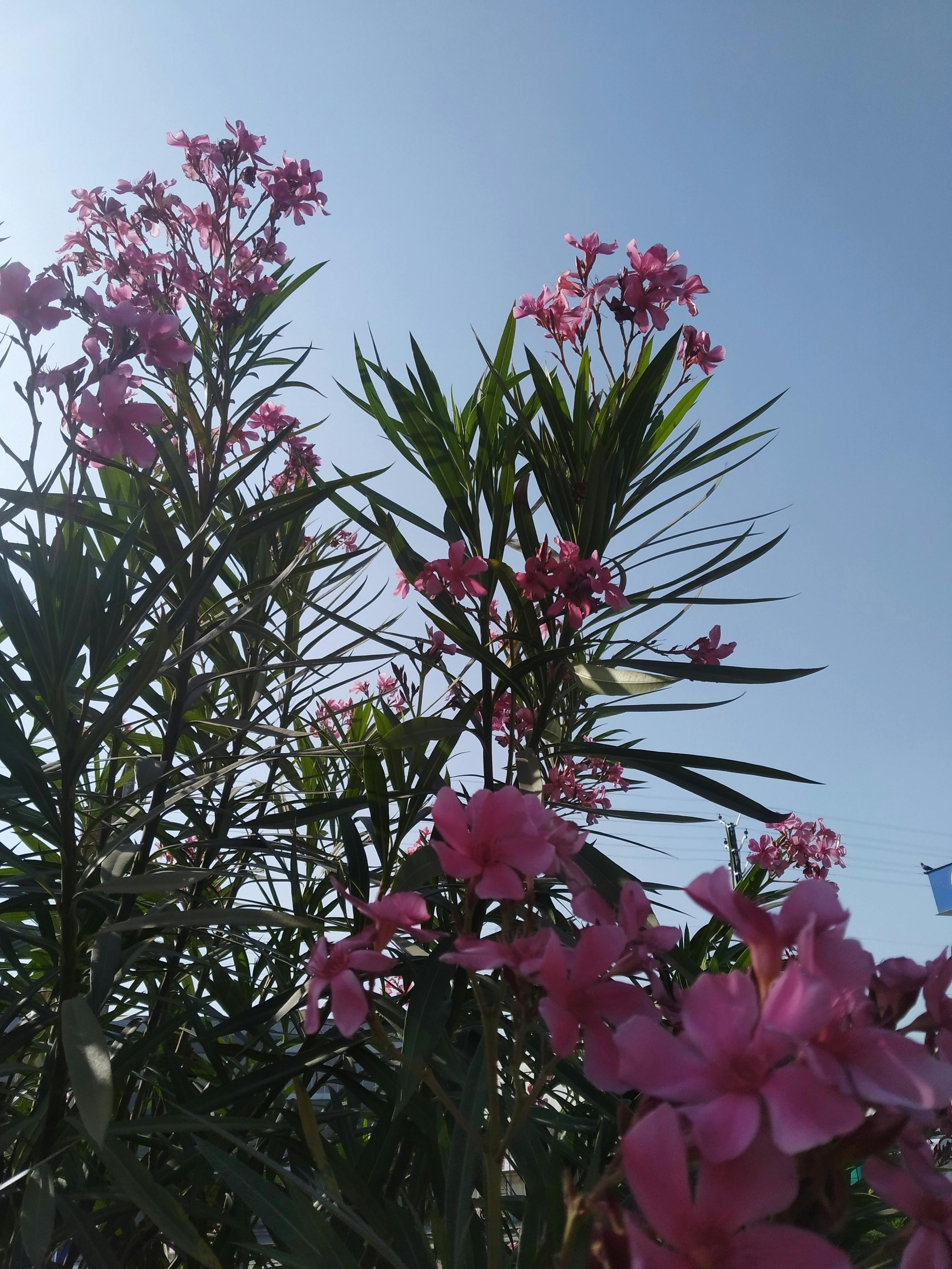 Morgenstress beseitigen mit Achtsamkeit