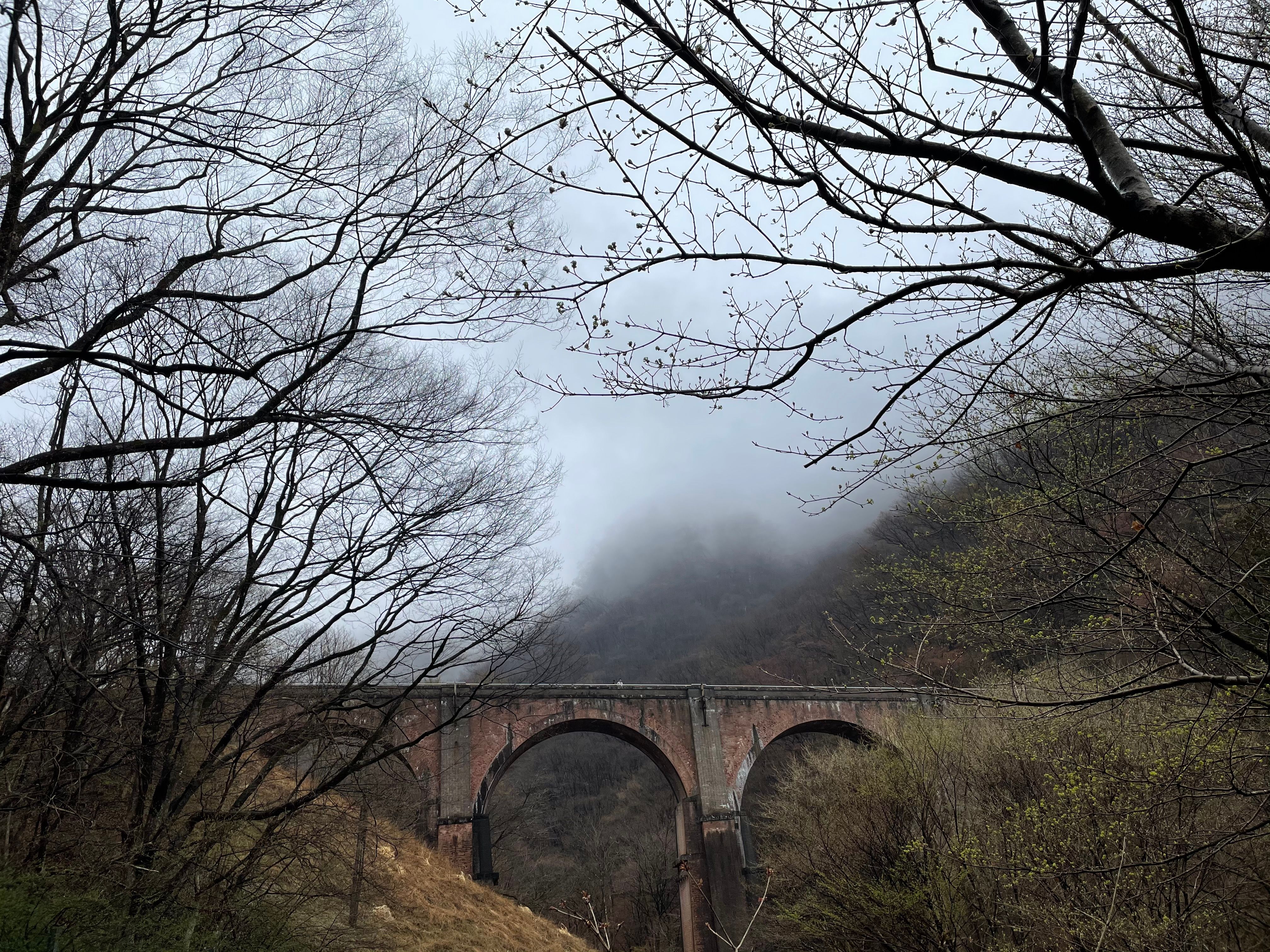 A foggy landscape with a historic arched bridge and bare trees, creating a serene atmosphere.