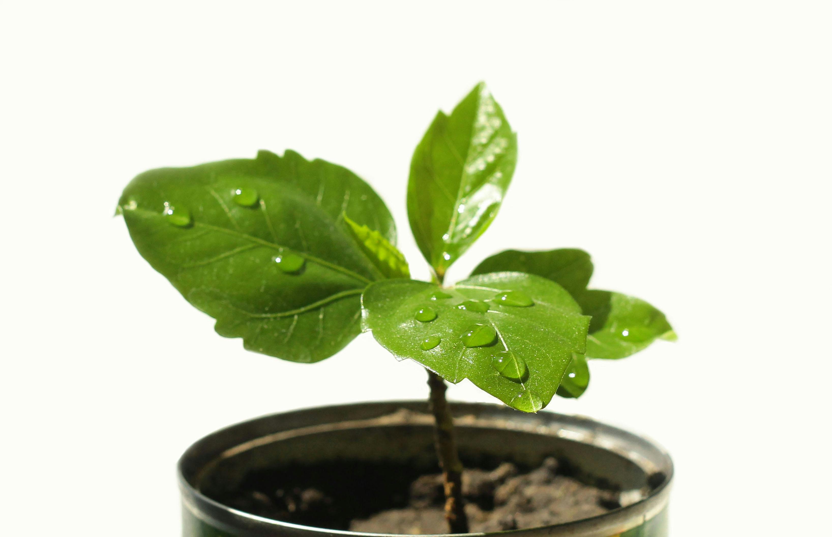 Budaya Indonesia dan interaksi masyarakat