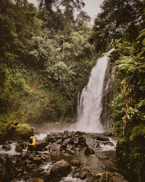 Бесплатное стоковое фото с вид сзади, вода, водопад