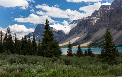 Vue Panoramique Sur Le Parc National De Banff