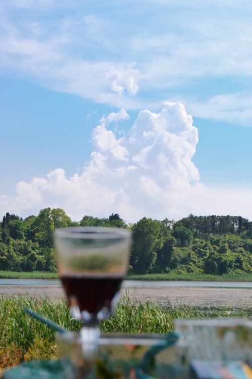 Free stock photo of green, red wine, sun Stock Photo