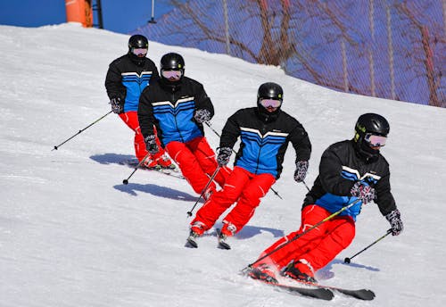 Photos gratuites de amusement, athlètes, bâtons de ski