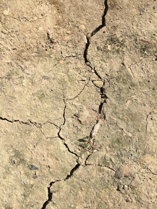 Free Close-Up Photo of a Crack on Dry Soil Stock Photo
