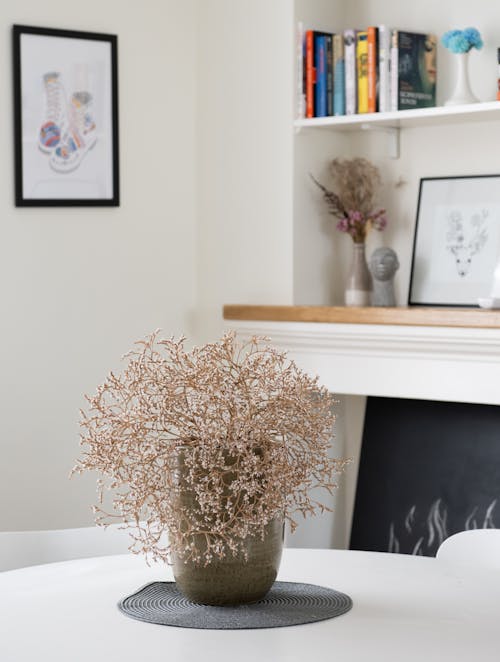 Bunch of dry flowers in vase placed on white round table near bookshelf in light apartment